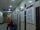 hospital - ShanDong Province Hospital - Index & Guide Brand