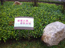 public - NanJing TianYuan Cheng - Outdoor and Indoor Signs