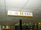 school - Shanghai Science University - Hanging Brand